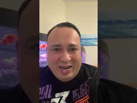 Review by Brother Iqbal Malik Rasool, London — Perfect Umrah video review